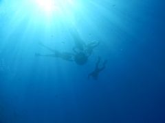 Ƃ̃}T[rXނʁ[ւ̓eʐ^1