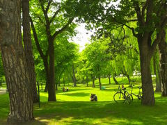 񂾂ꂳ̖kCwւ̓eʐ^1