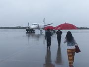 ^P`̃u[XJC ً` or[X̓eʐ^1