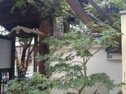 cJ擙X͂̏Zl̂tA@̓eʐ^2