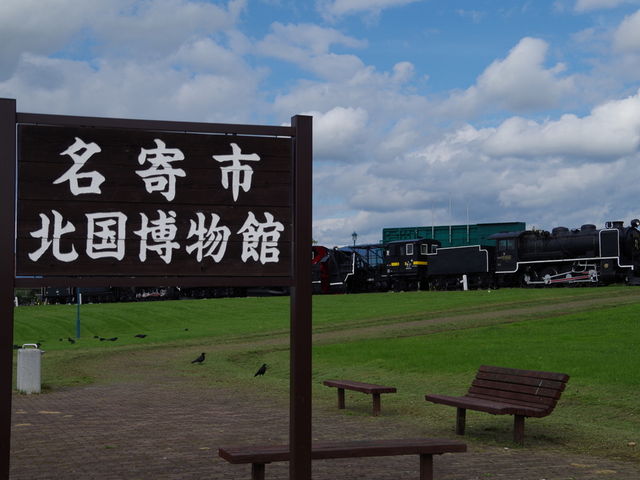 ���̍���ɂ���܂��B_����s�k��������