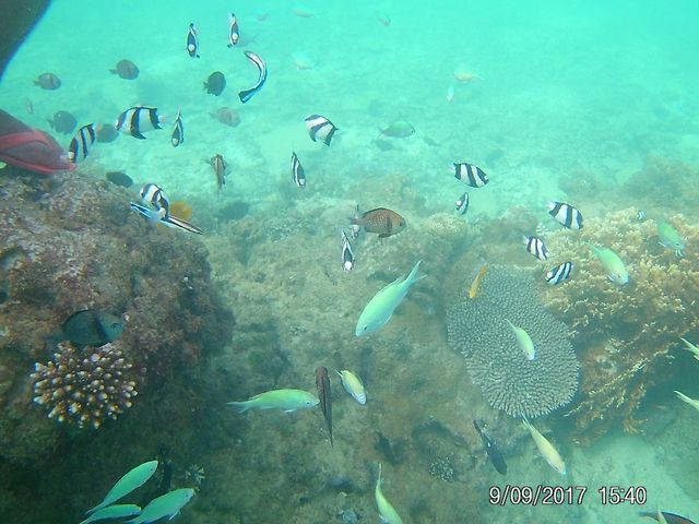 �l�̐����J�����łƂ�܂���_�����}�������W���[