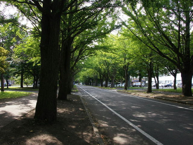 �C�`���E����_�k��C�`���E����