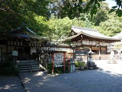 g\̌Fቤq_Ђւ̓eʐ^1