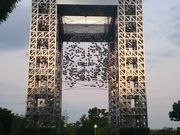 ܂񂳂̉ȊwLO̓eʐ^1