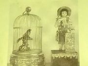 GAVVI񂳂̒Ԏق̓eʐ^1