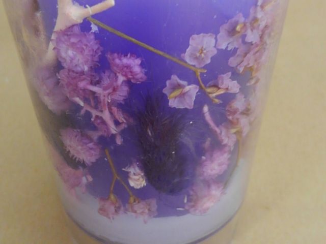 ʐ^ɂȂāA܂܂AȊłB_CandleStudio RADIUS