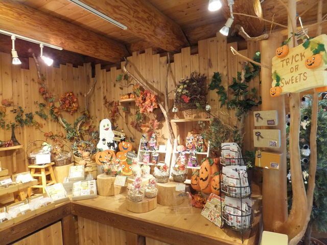 َq̒R[i[B܂nEB[hB_peBX[@T^