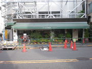 kikimimi����̃��E�e�[���m�َq�X�̓��e�ʐ^1