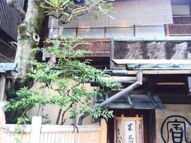 �O��_�{�Ɣ�����