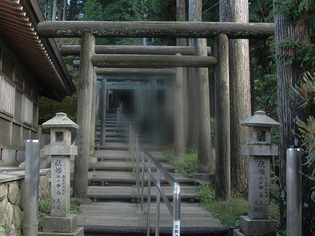 �����r�_��_�����r�_��