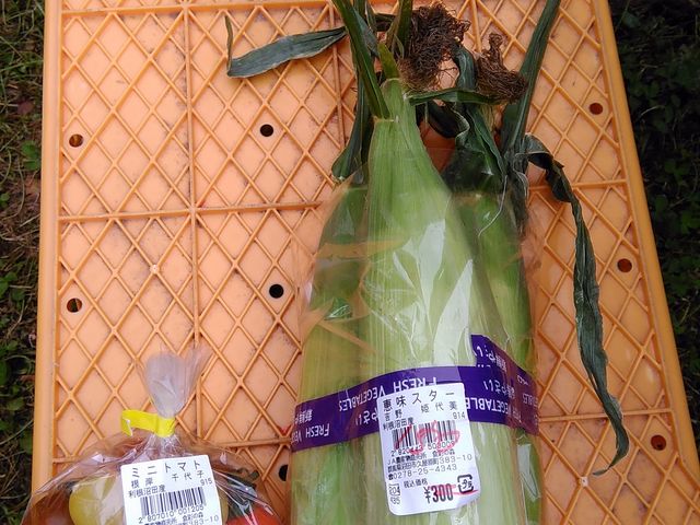 �߂��̂i�`�Ŕ���������_����񂲉�