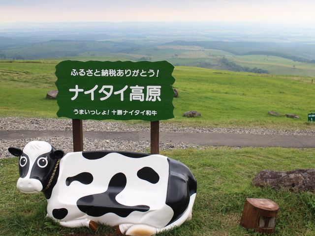 ���]���ǂ�_�i�C�^�C�����q��i�C�^�C�e���X