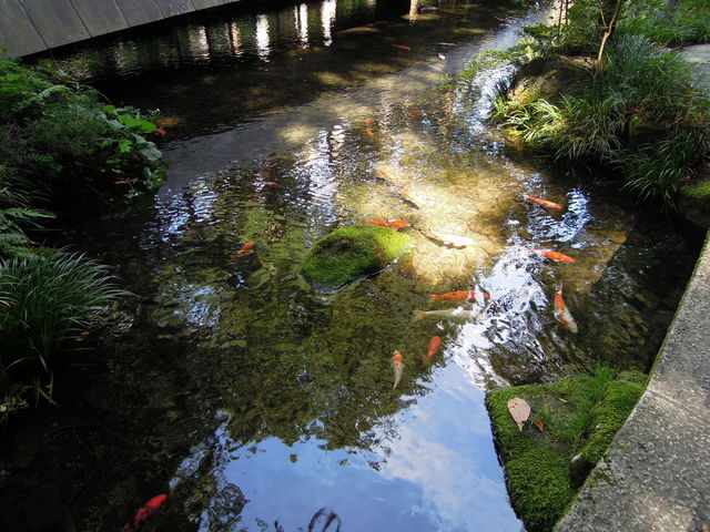 �N���ɂ�鐟�񂾒r_�����_�Ђ̋t��