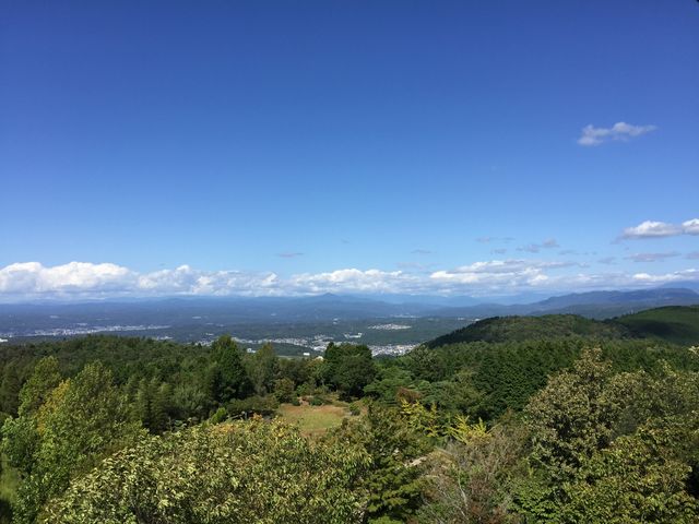 �Ȃב��Y����̂����͂璪���̐X�̓��e�ʐ^2