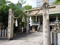 �����̂�������̔��_�Ђւ̓��e�ʐ^1