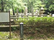 ^P`֖̋̕Ϗ\m̓̕eʐ^1