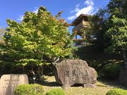 �Ȃב��Y����̂����͂璪���̐X�̓��e�ʐ^1