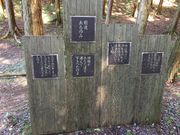 �Ȃב��Y����̂����͂璪���̐X�̓��e�ʐ^3