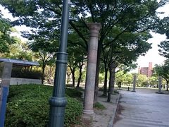 �X�k�v����̓V�_���������ւ̓��e�ʐ^1