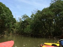 obV[̊όlbg[Nւ̓eʐ^1