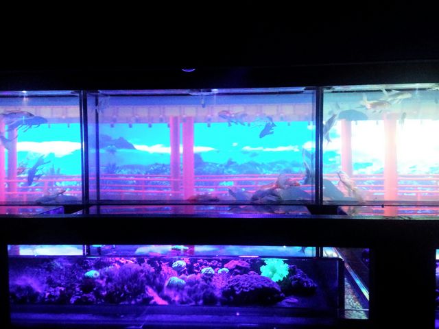 2017���{��_���{���O��z�[��