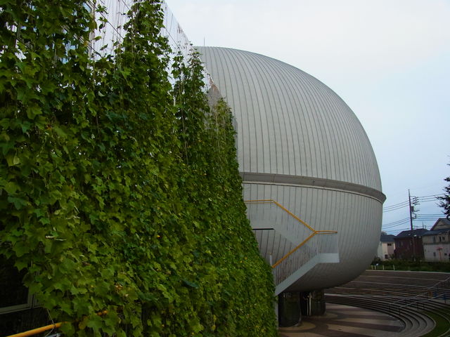 ΂̃J[eɂ悭ĂB_ZsȊw