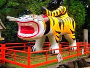 傱̐MMR 쑷q̓eʐ^1