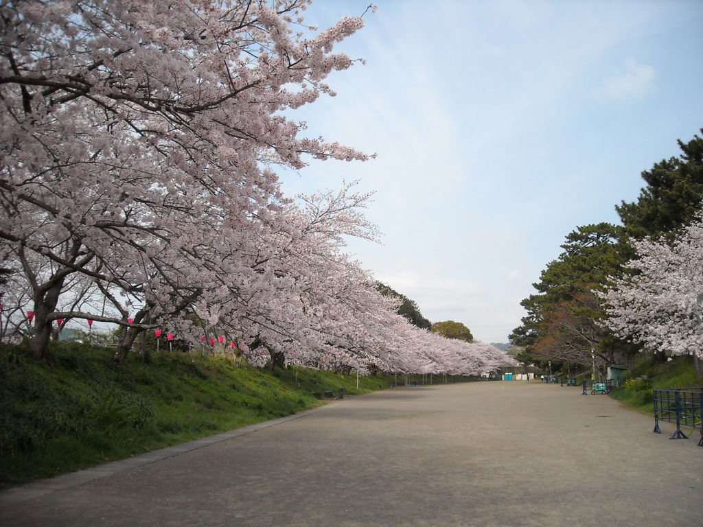 金谷駅周辺の公園 庭園ランキングtop10 じゃらんnet