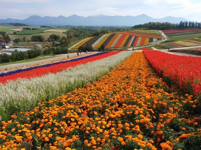 �Ԕ�_�l�G�ʂ̋u