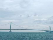 񂿂񂳂̑呠C݂̓eʐ^1