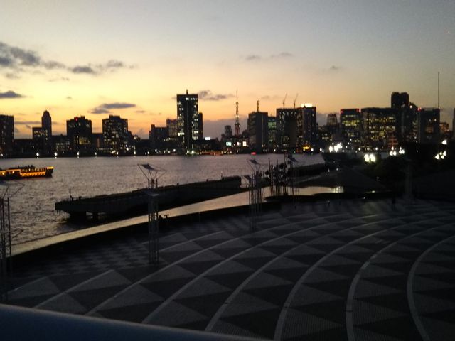 CqD^[~i̓^[ʂ̌iF_CqD^[~i