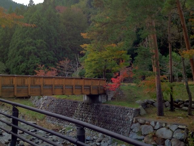 ���u�̓��̋߂��ɂ����Ƌ��ł��B_���u�̓�