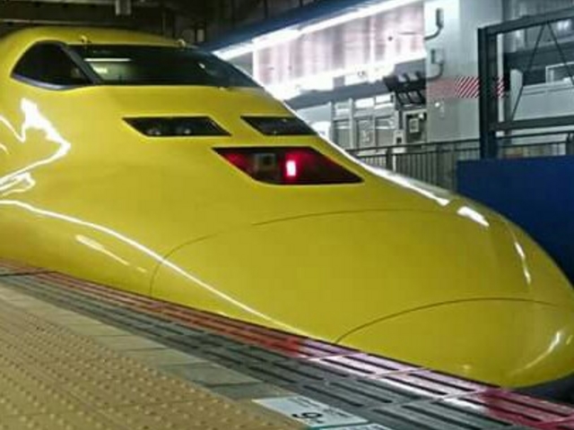 �h�N�^�[�C�G���[�B_�����w