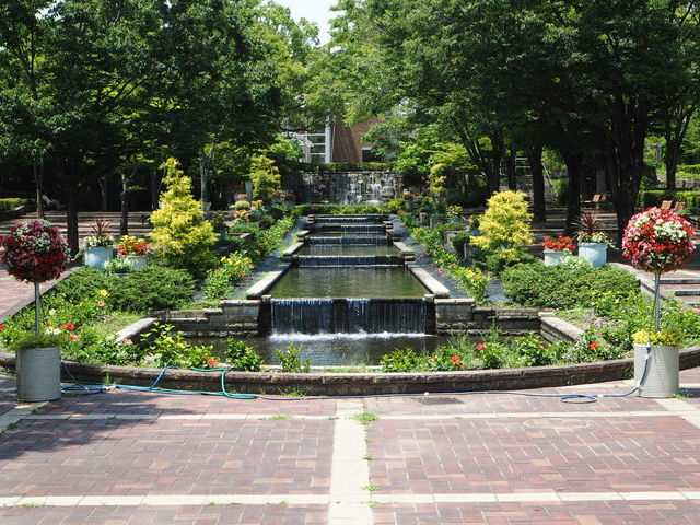 ΂ƉԂ̉O̕ : ɂ܂Vg[_ssΉA(O[sAt)