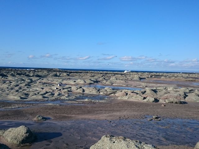 ����~�ł�_�ܔ\��