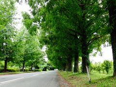 ǁ[̃^ZRCA؂ւ̓eʐ^1