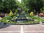 Nicefishalive̓ssΉA(O[sAt)̓eʐ^1