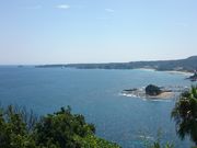 ꂨ񂳂̔llEC̓eʐ^1