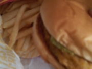 ܂ǂ̃}NhihFs{X̓eʐ^1