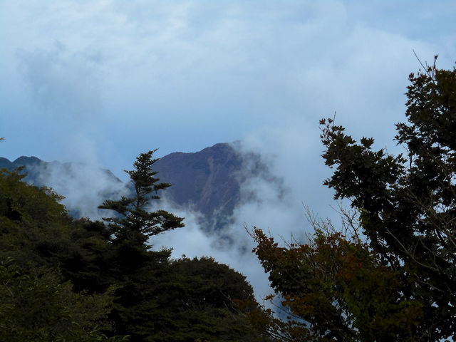 ��u�̐����_�m�c�����W�]��