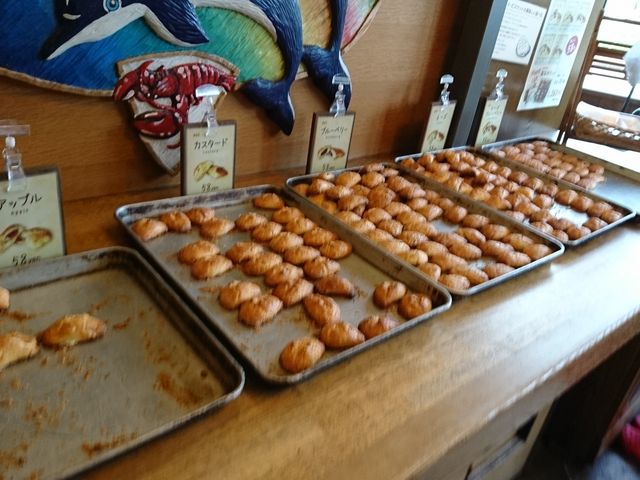 pCKwAeCNAEg܂B_Xg ӂρ[