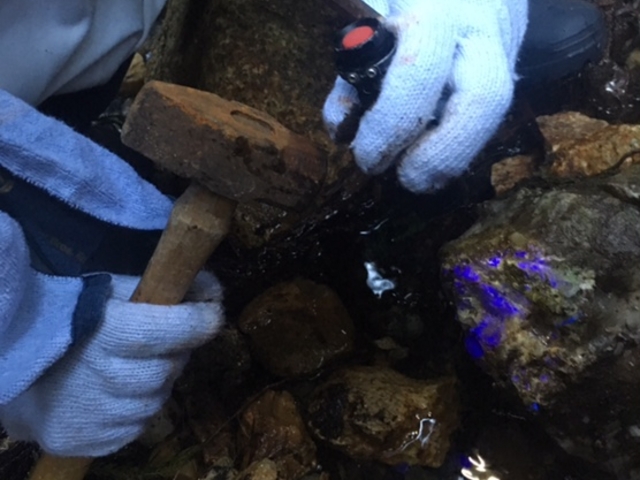 ӂČu΂̂낤ƂĂ鏊_Rό