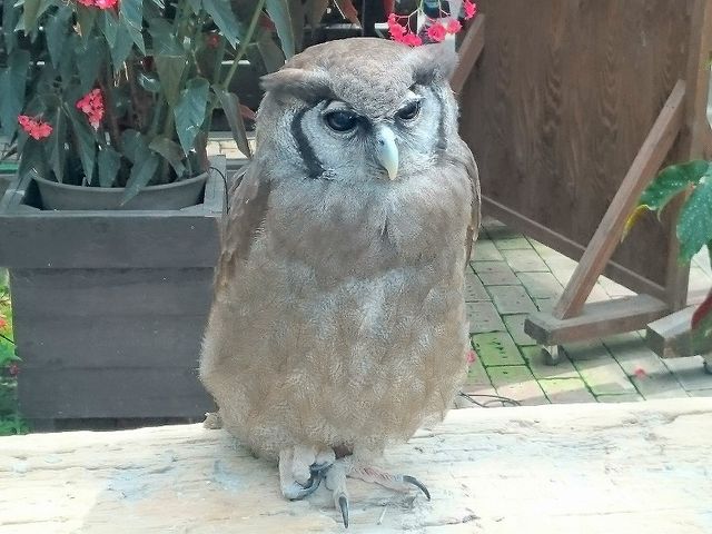 ɌE_˂ǂԂ__˂ǂԂ