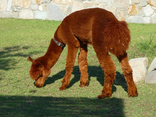 ɌE_˂ǂԂ__˂ǂԂ