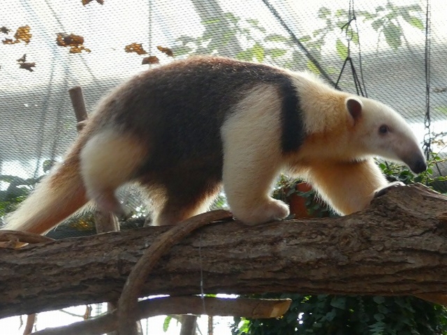 ɌE_˂ǂԂ__˂ǂԂ