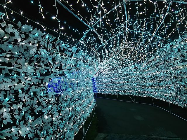 ̃glB_yl̐nzAp][gzW]