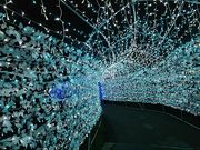 ~Ŕyl̐nzAp][gzW]̓eʐ^1