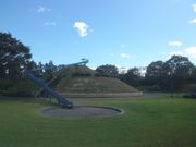 TrL̉ԃPkX|[c̓eʐ^3