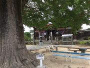 }Cann̑TԎD@n̓eʐ^1